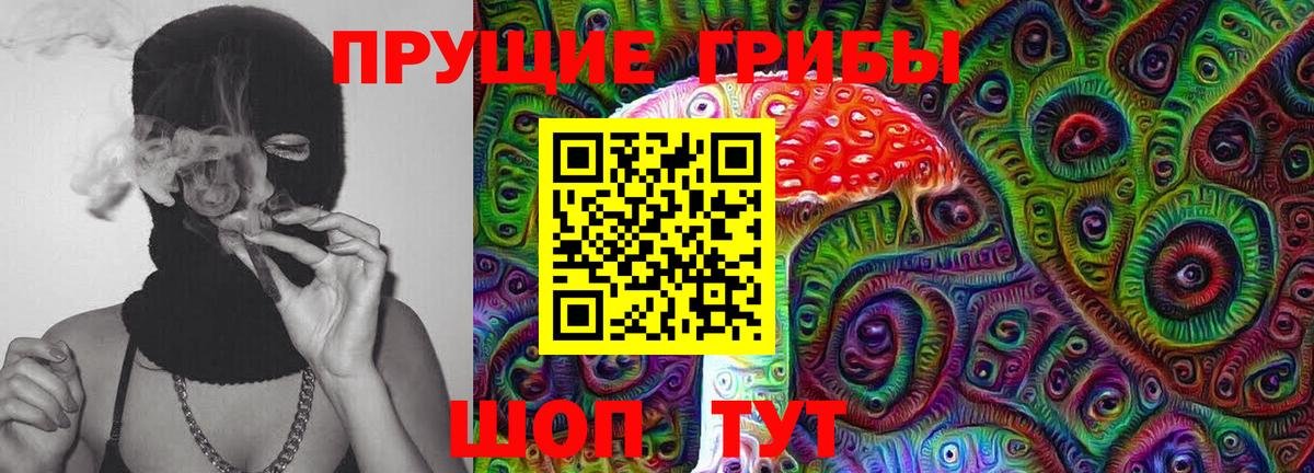 Фурманов  Псилоцибиновые грибы прущие грибы  Вход с VPN  Псилоцибиновые грибы Cubensis 